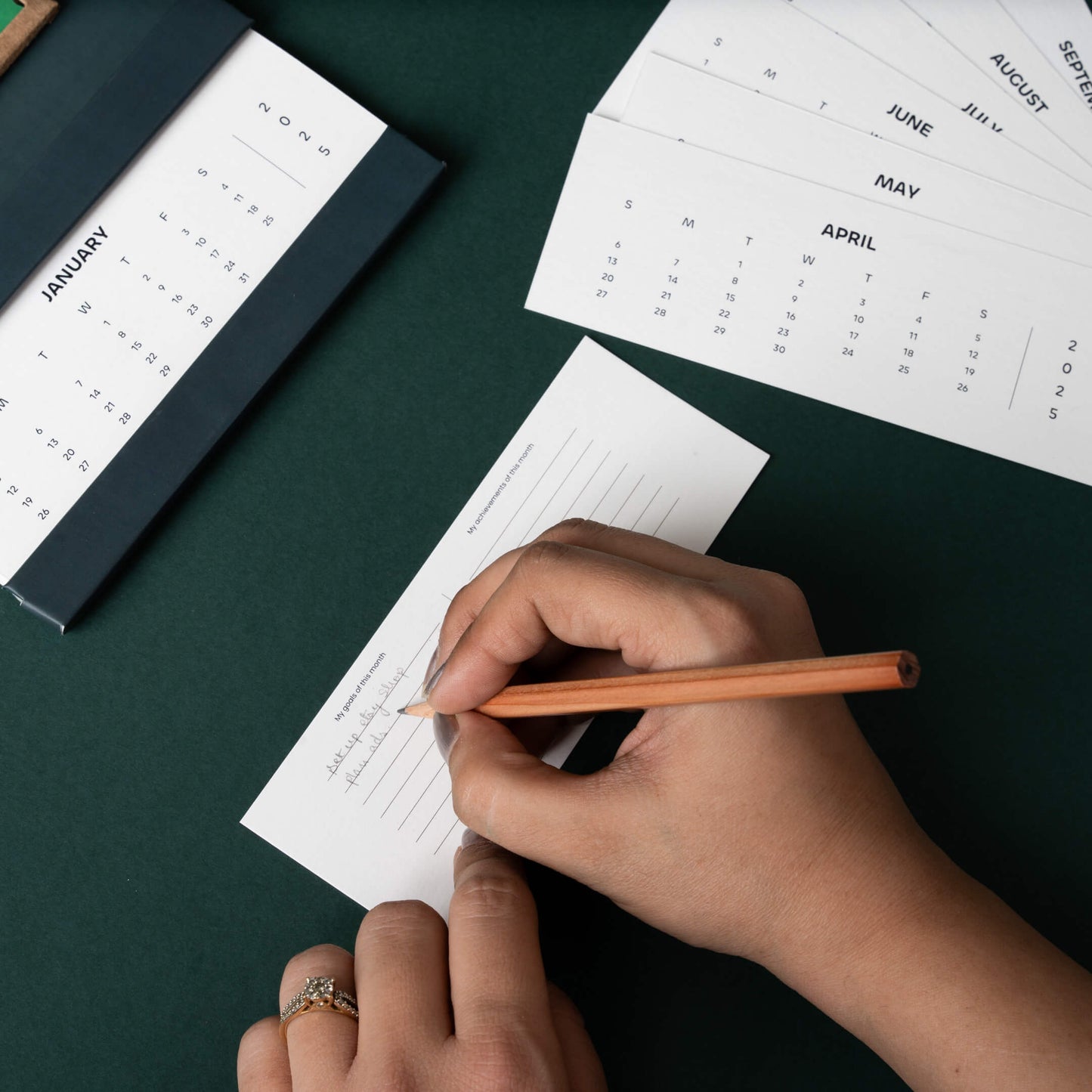 Alocasias Polly Plant Calendar 2025 | 'Wild Wonders'
