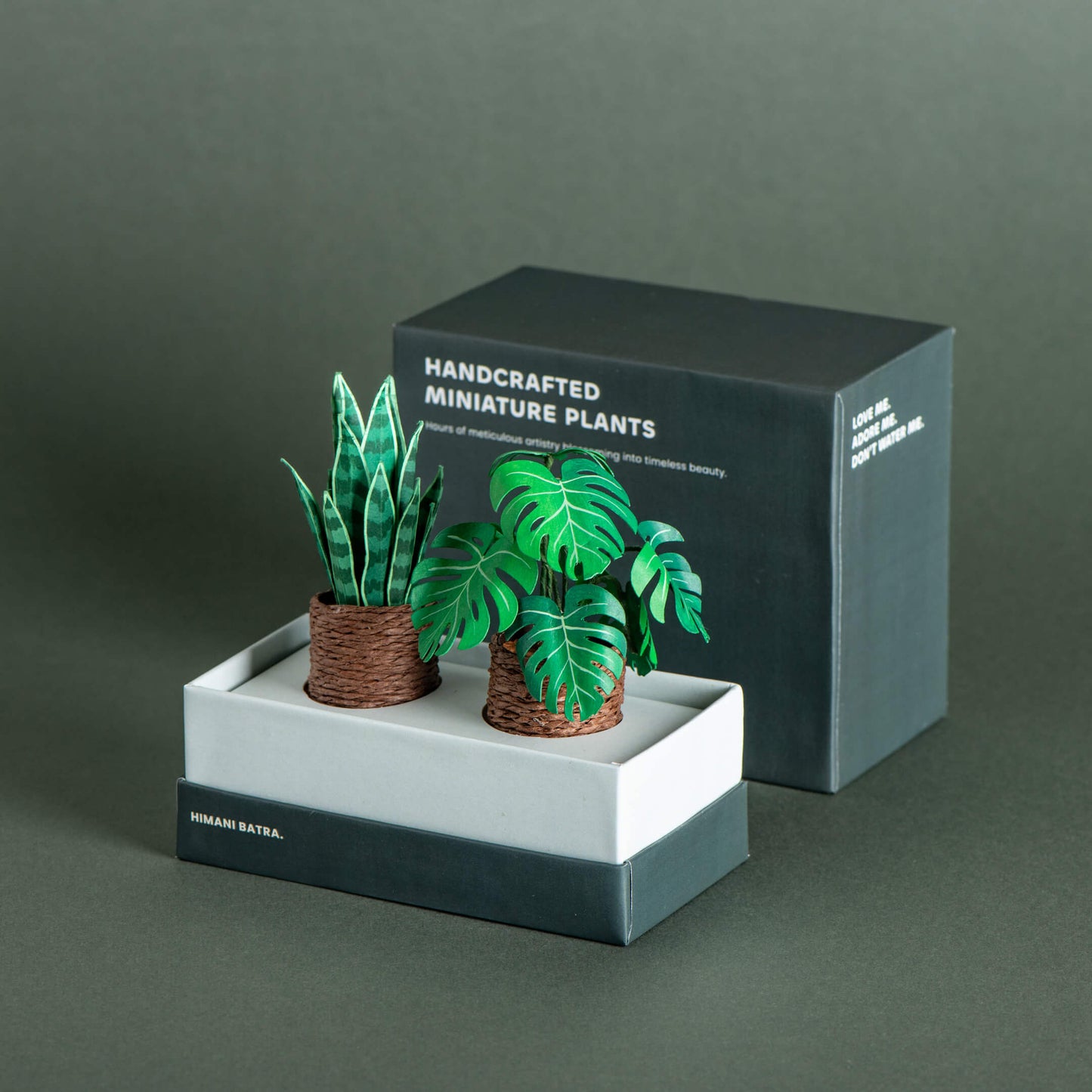 Snake Plant & Monstera | Set of 2 | Miniature Paper Plant