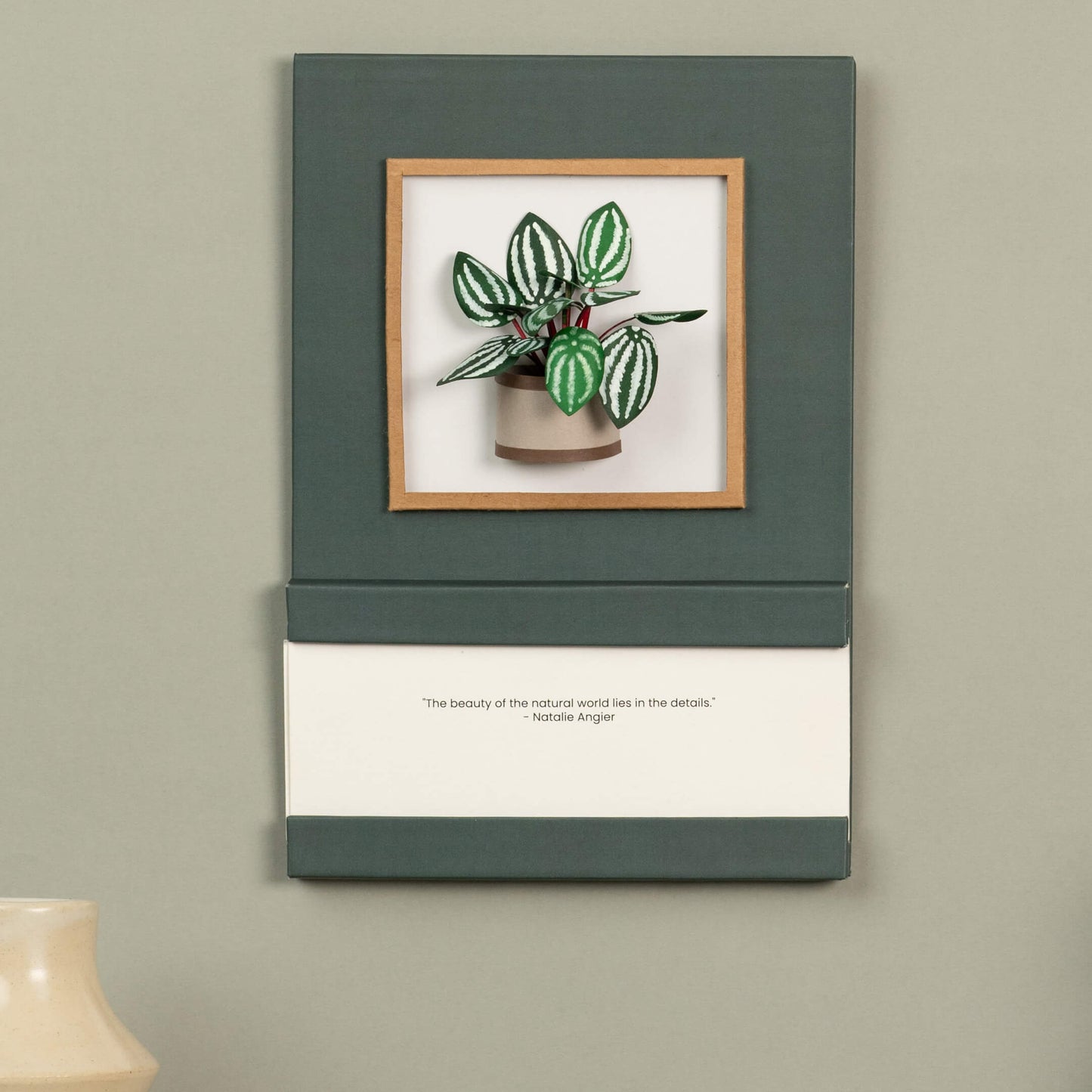 Watermelon Peperomia Plant Calendar 2025 | 'Wild Wonders'