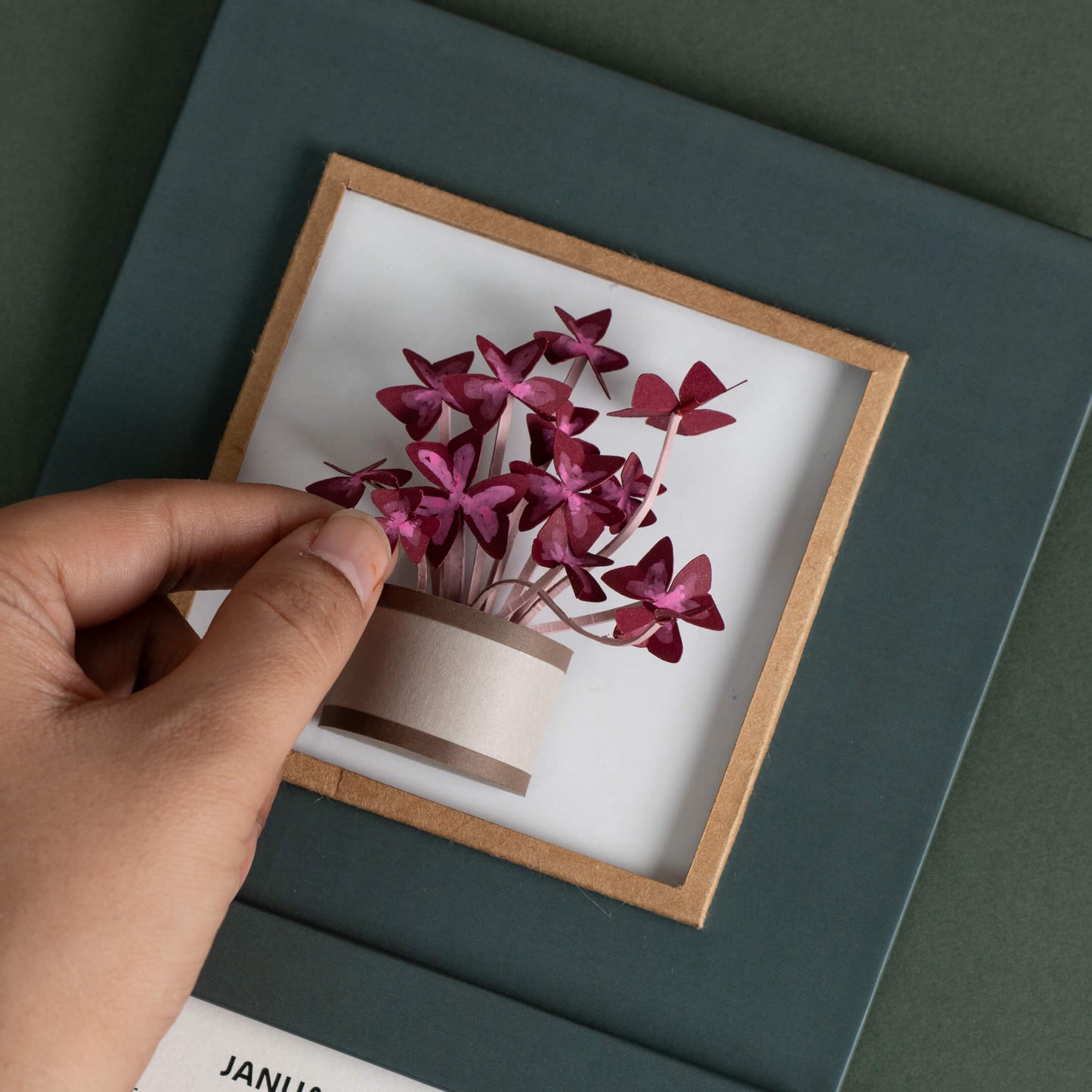 Oxalis Plant Calendar 2025 | 'Wild Wonders'