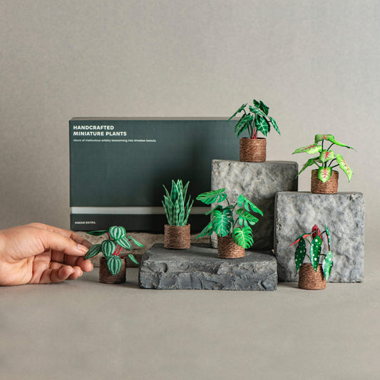 Set of 6 | Miniature Paper Plant