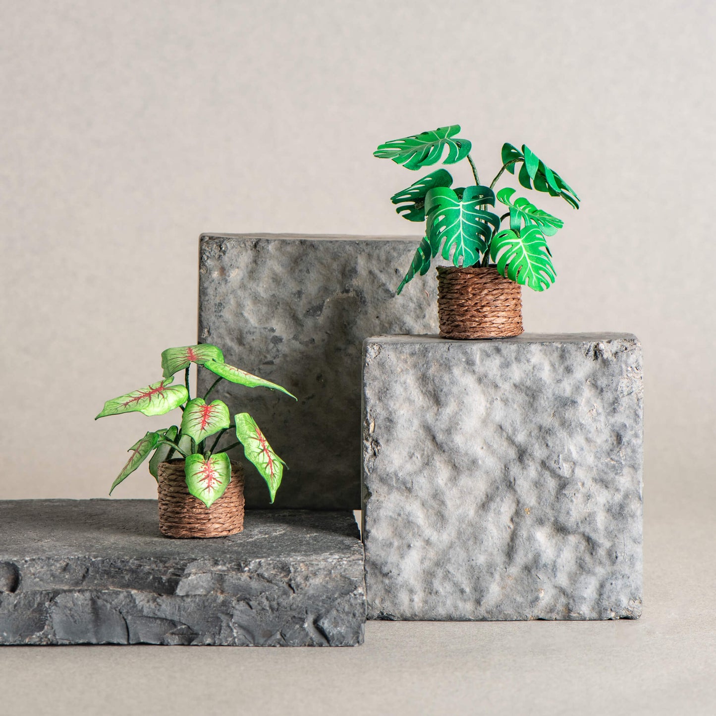 Caladium & Monstera | Set of 2 | Miniature Paper Plant