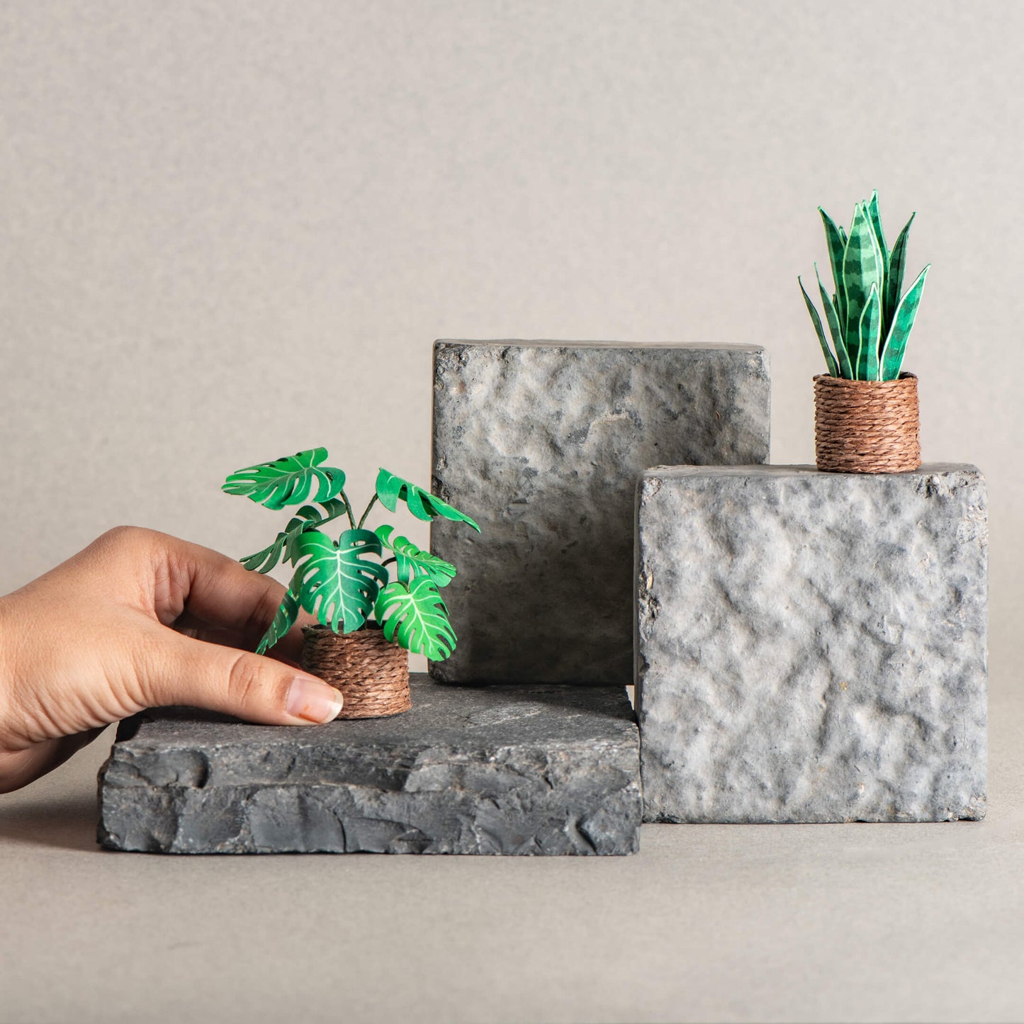 Snake Plant & Monstera | Set of 2 | Miniature Paper Plant