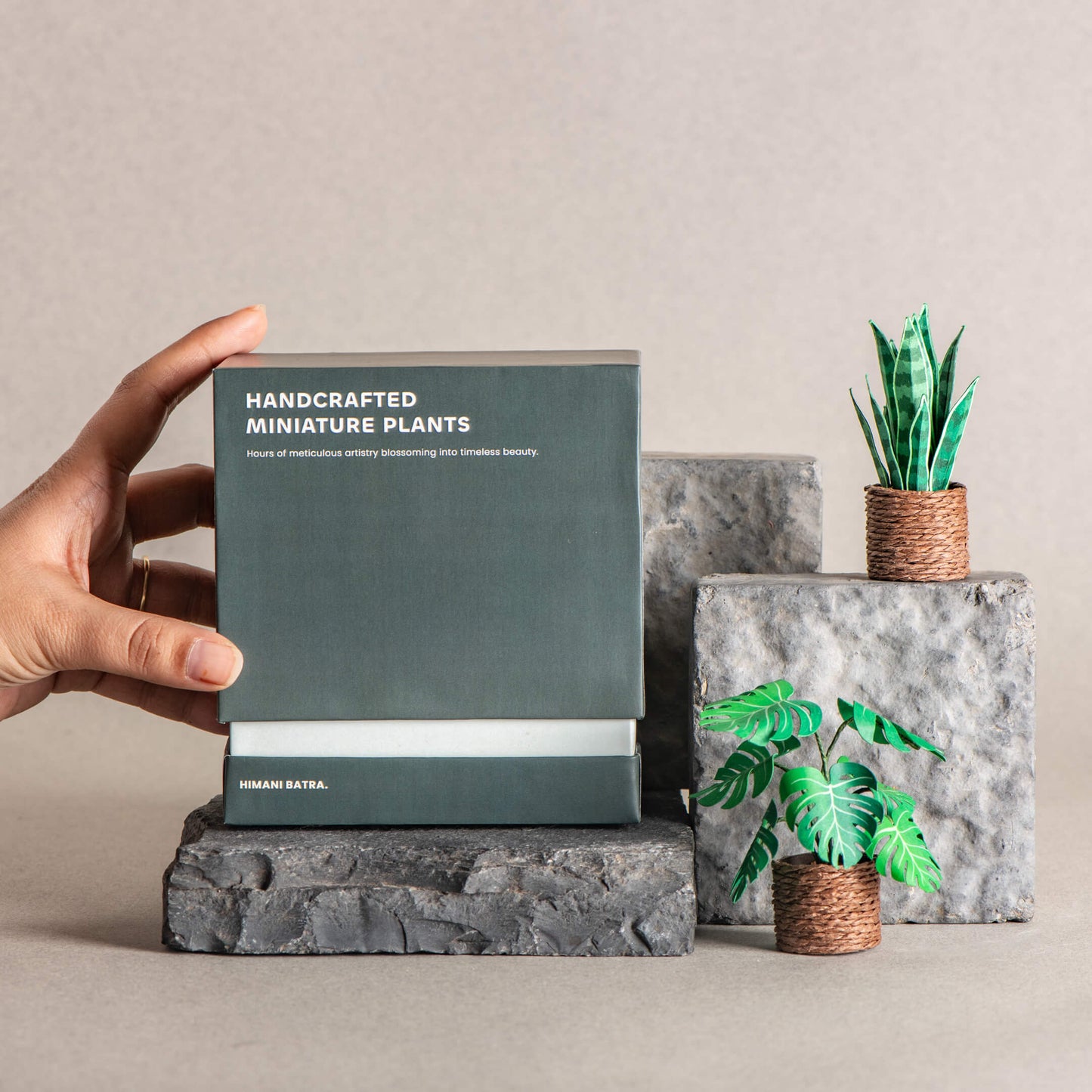 Snake Plant & Monstera | Set of 2 | Miniature Paper Plant