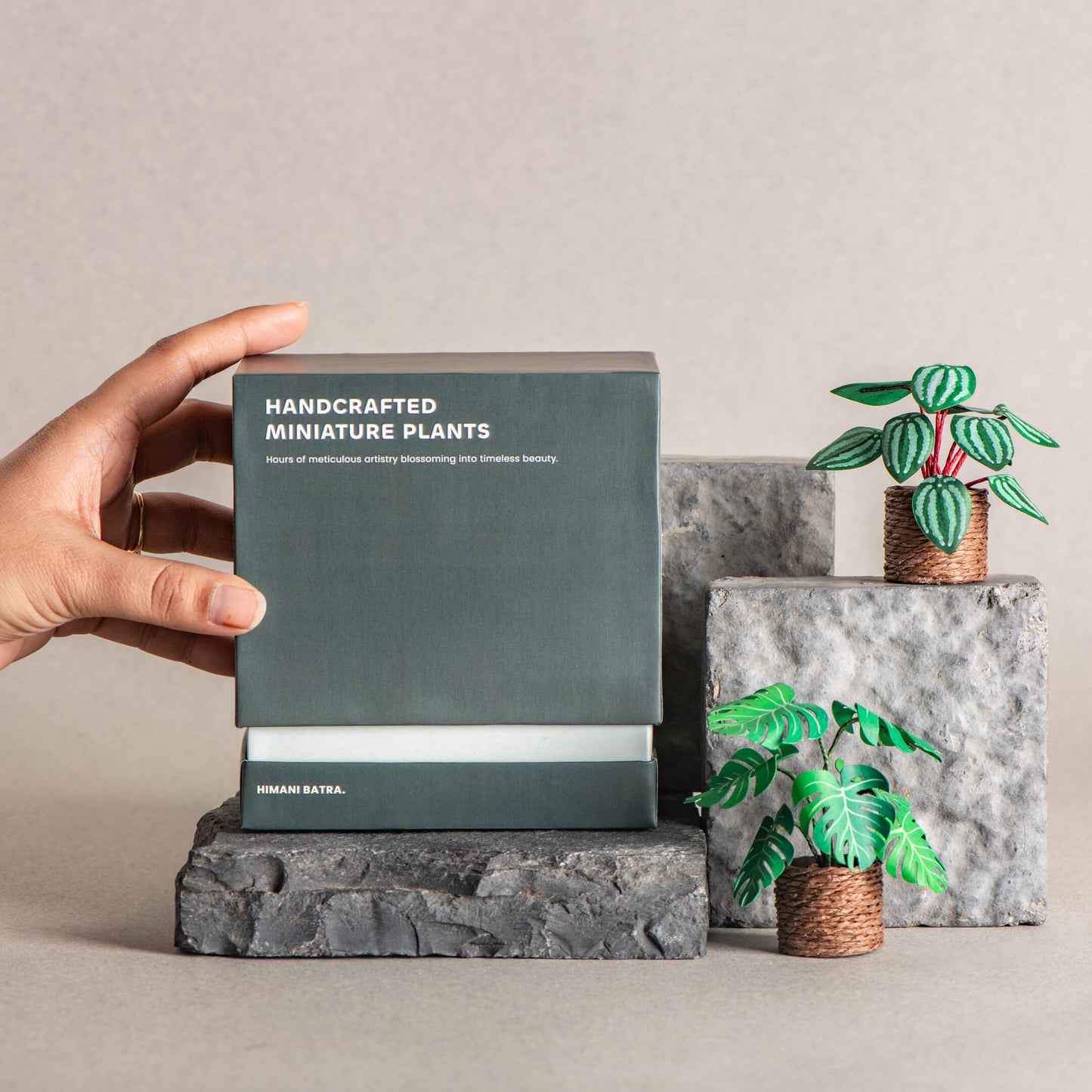 Monstera & Watermelon Peperomia| Set of 2 | Miniature Paper Plant