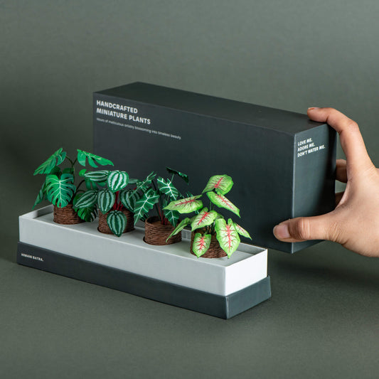 Whispering Garden |Set of 4 | Miniature Paper Plant