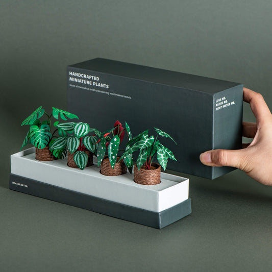 Green Bliss | Set of 4 | Miniature Paper Plant