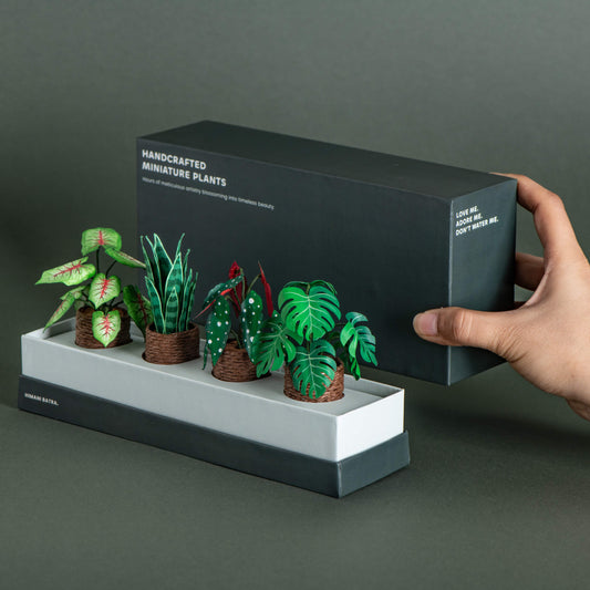 Plant Paradise|Set of 4 | Miniature Paper Plant