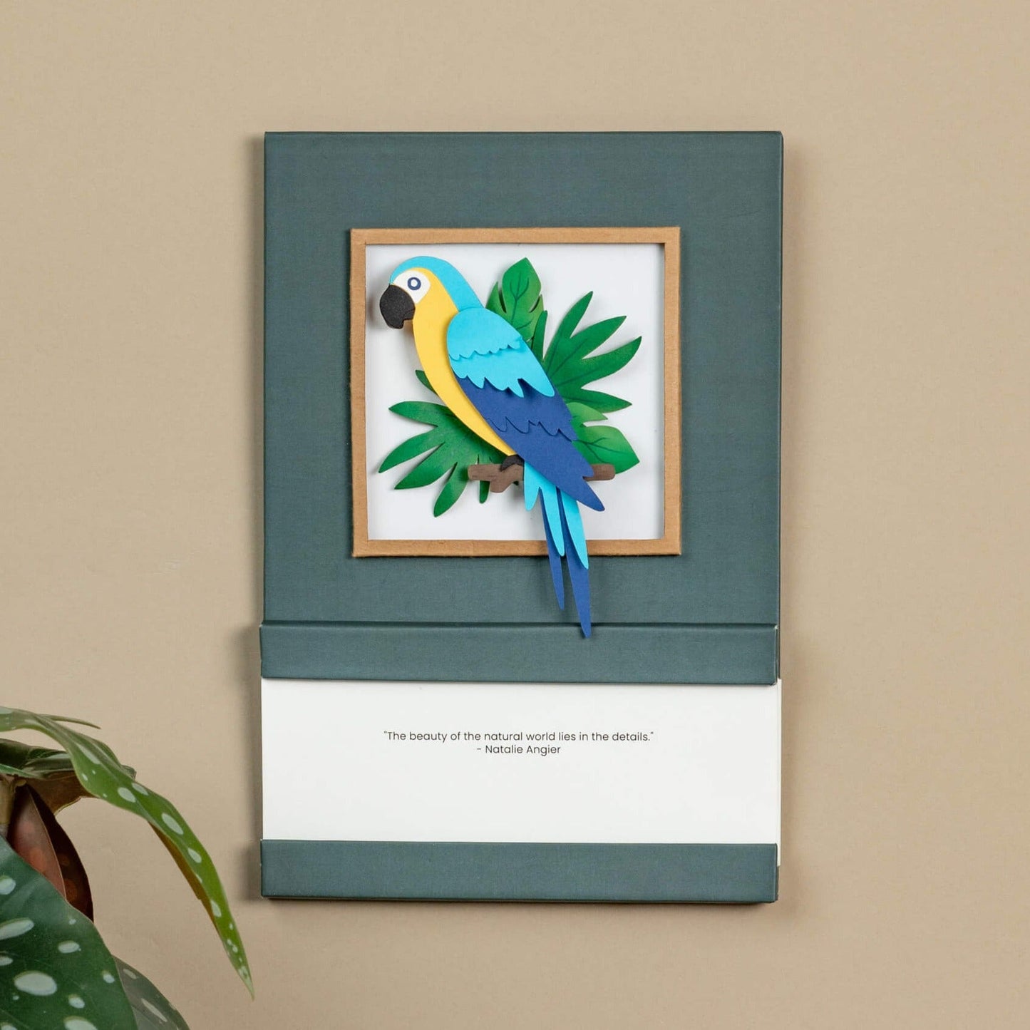 Blue & Gold Macaw  Calendar 2025 | 'Wild Wonders'