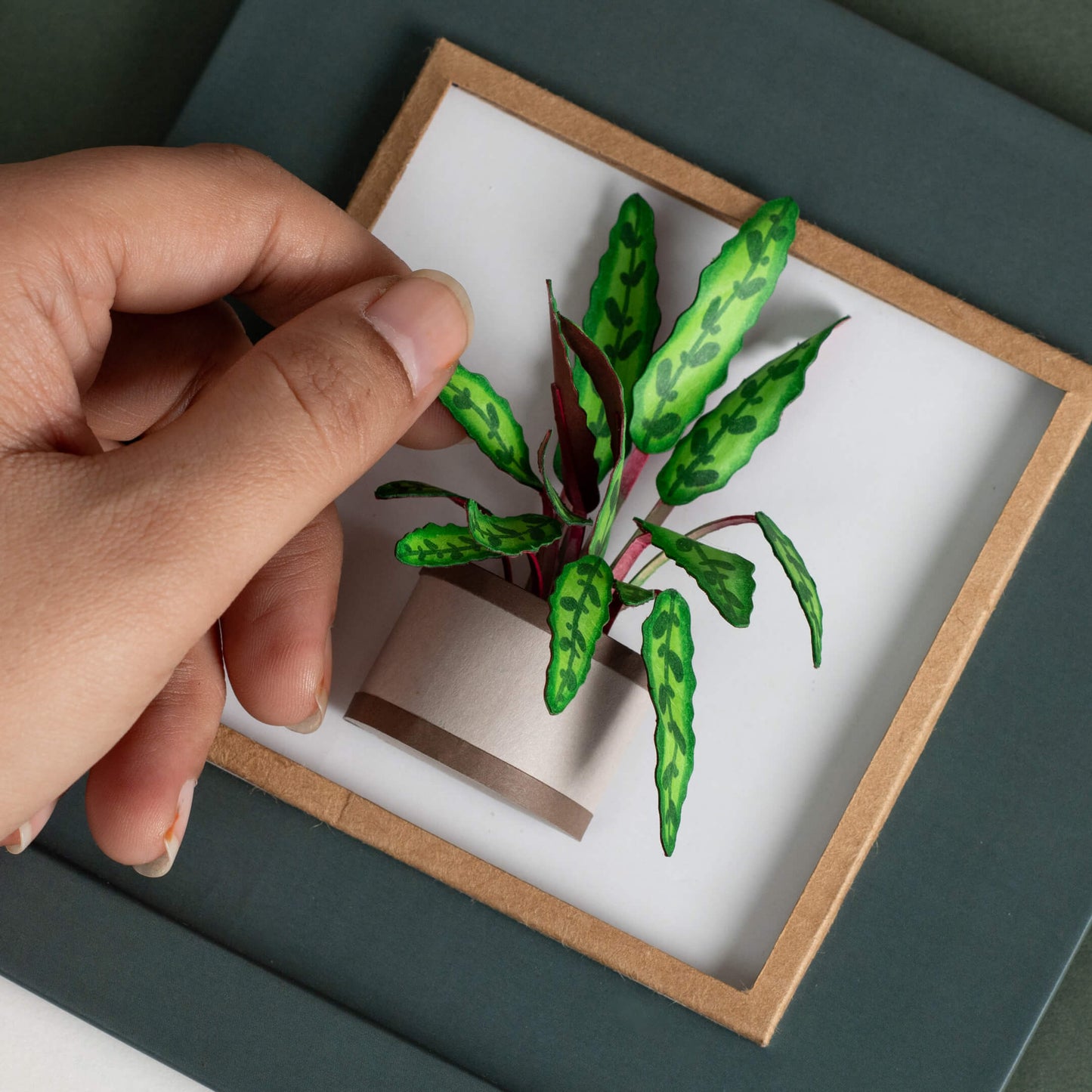 Rattle Snake Plant Calendar 2025 | 'Wild Wonders'