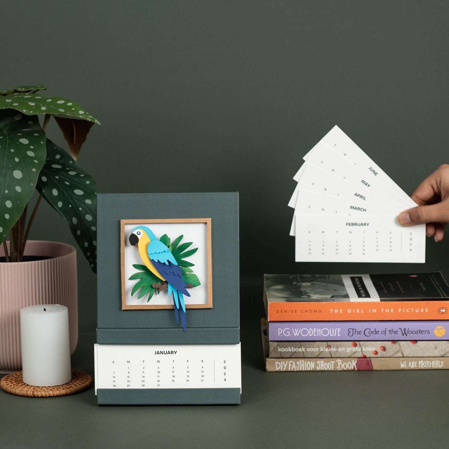 Blue & Gold Macaw  Calendar 2025 | 'Wild Wonders'