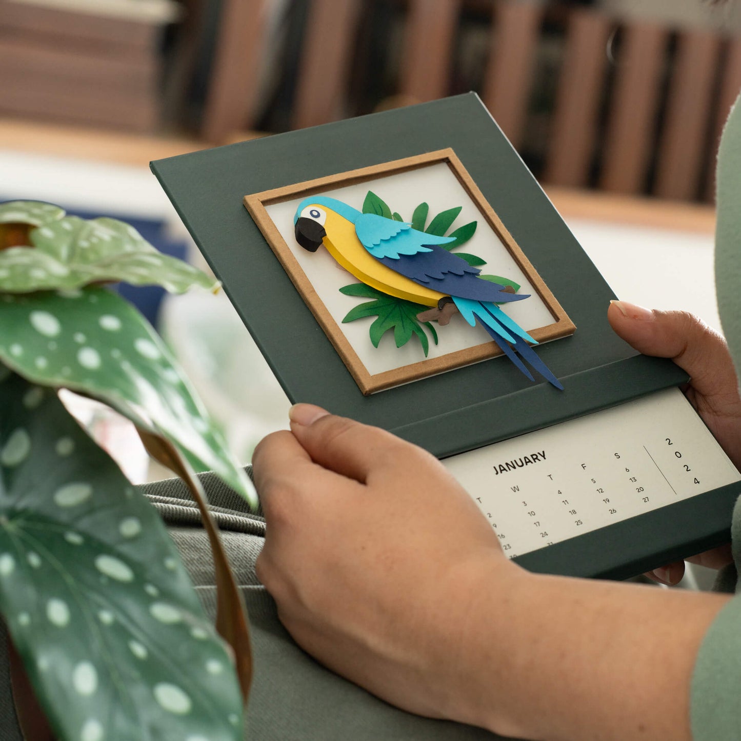 Blue & Gold Macaw  Calendar 2025 | 'Wild Wonders'